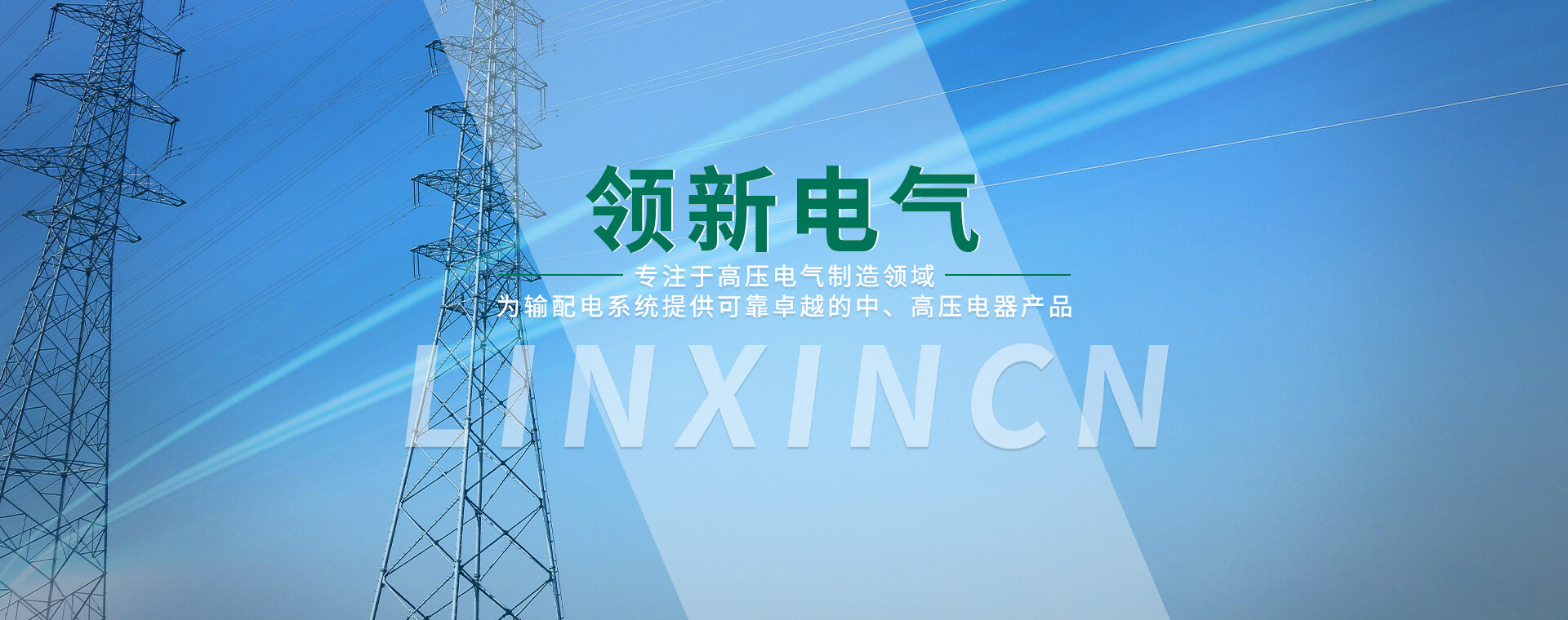 浙江領新電氣有限公司